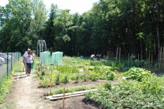 20140622_Gemeinschaftsgarten-Erffnung0005