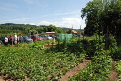 20140622_Gemeinschaftsgarten-Erffnung0011