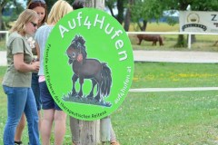 20140629-hippotherapieturnier-weistrach-9