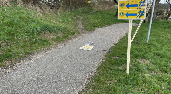 Lions Charity Run 2023 – Walken und Laufen für den guten Zweck